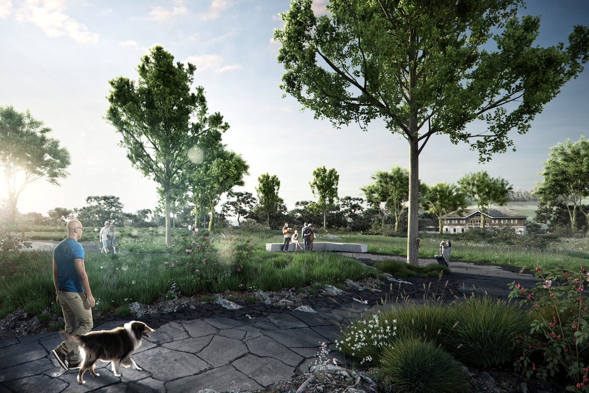 Loreley Plateau Landscape