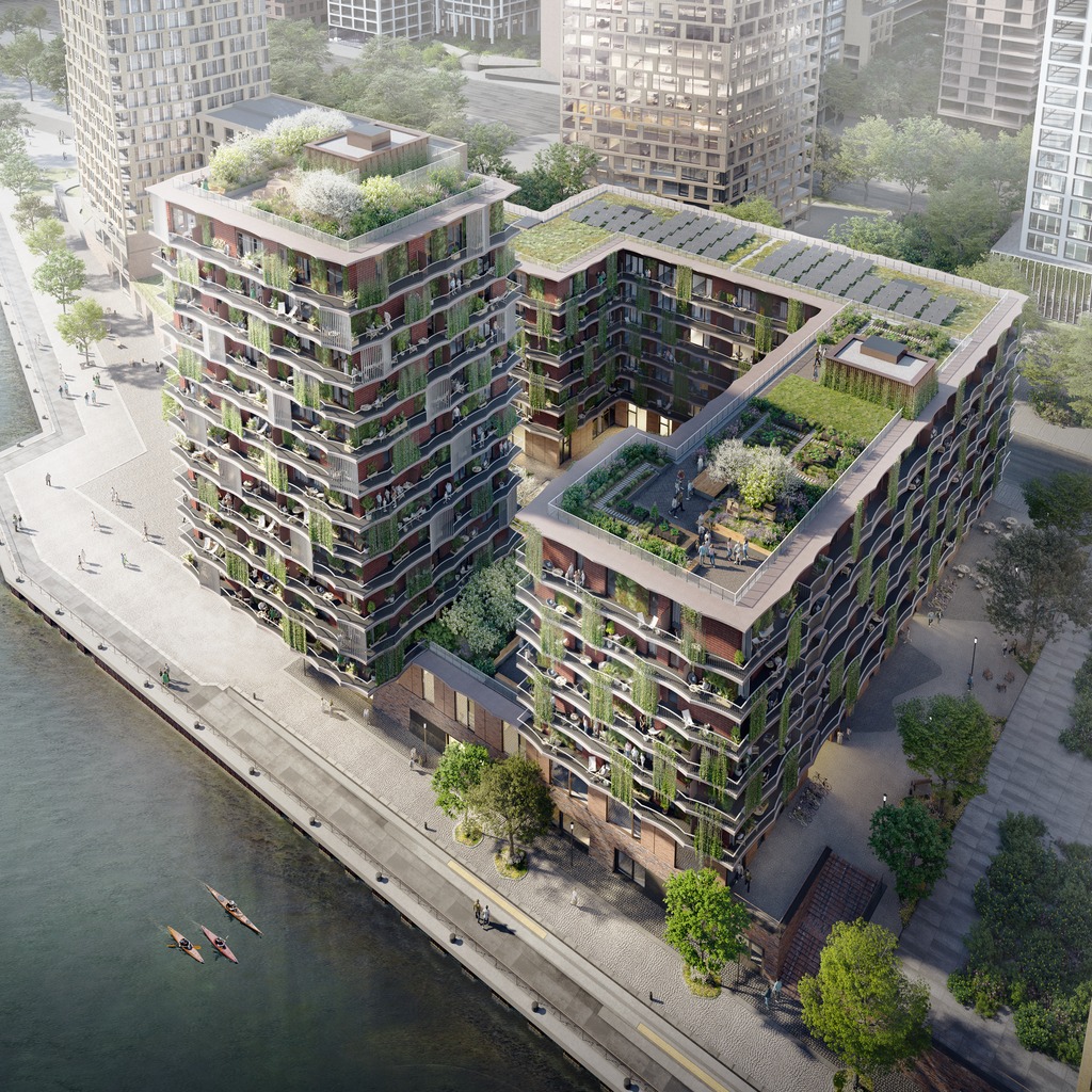 Moringa Baakenhafen Hamburg